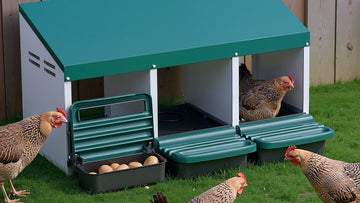 Chicken Nesting Boxes – The Ultimate Guide