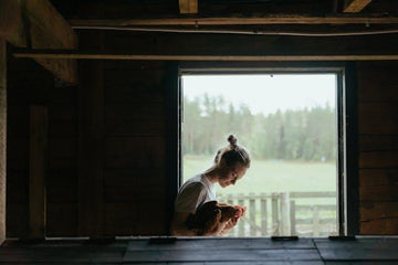 The Crucial Impact of Cleanliness on Chicken Health and Egg Production: Best Practices for Maintaining Your Coop - Pets Gear