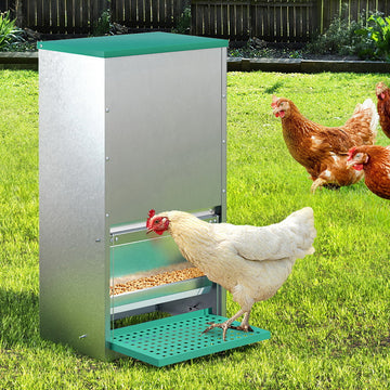 Automatic Chicken Feeder 30L