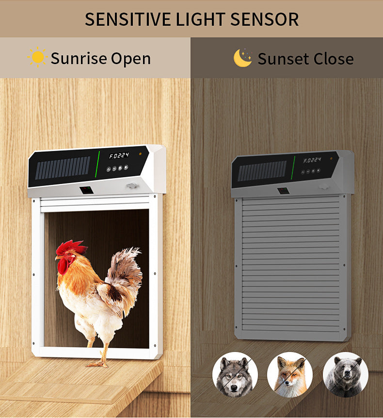 Solar-powered pet door with sensitive light sensor for pets like rooster, wolf, fox, and raccoon.