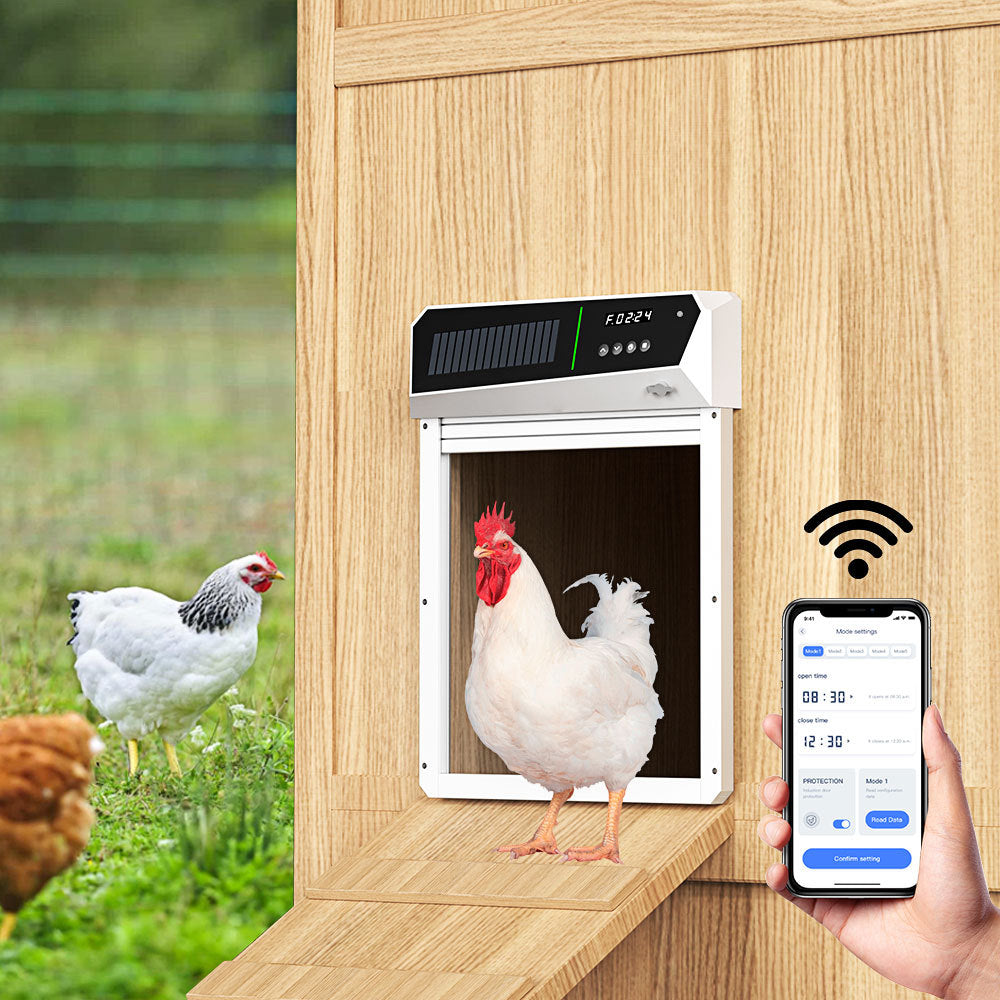 Solar Powered Automatic Chicken Coop Door with APP Control