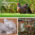 Large Chicken Coop Two Story Cage Run - Pets Gear