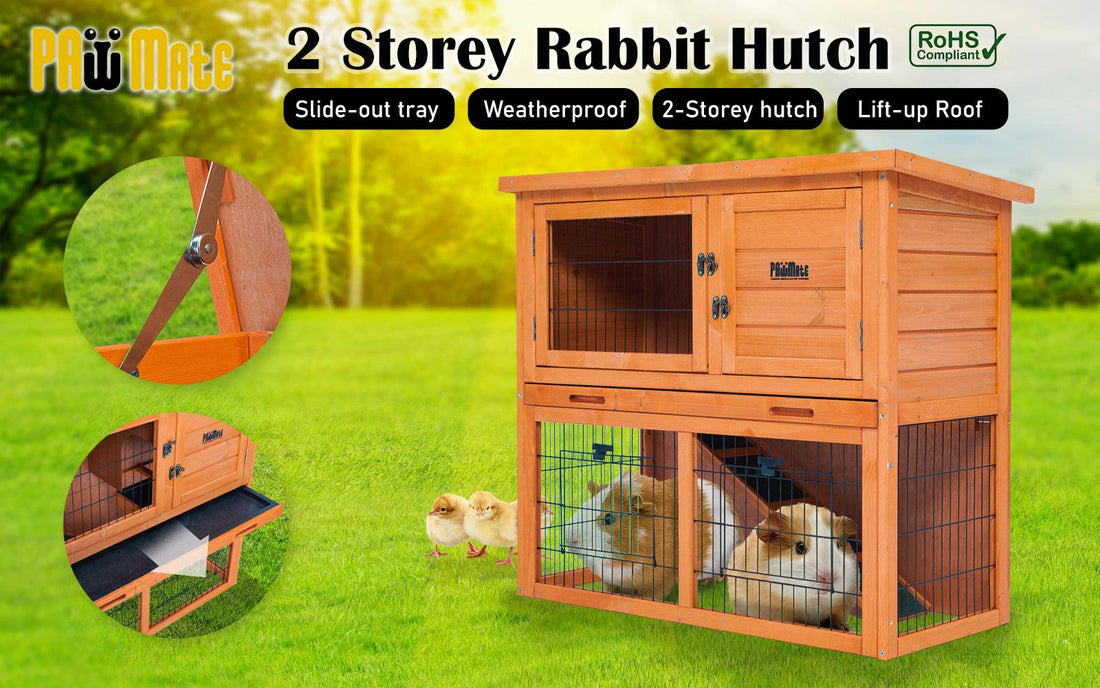 Rabbit Hutch Two Storey - Pets Gear