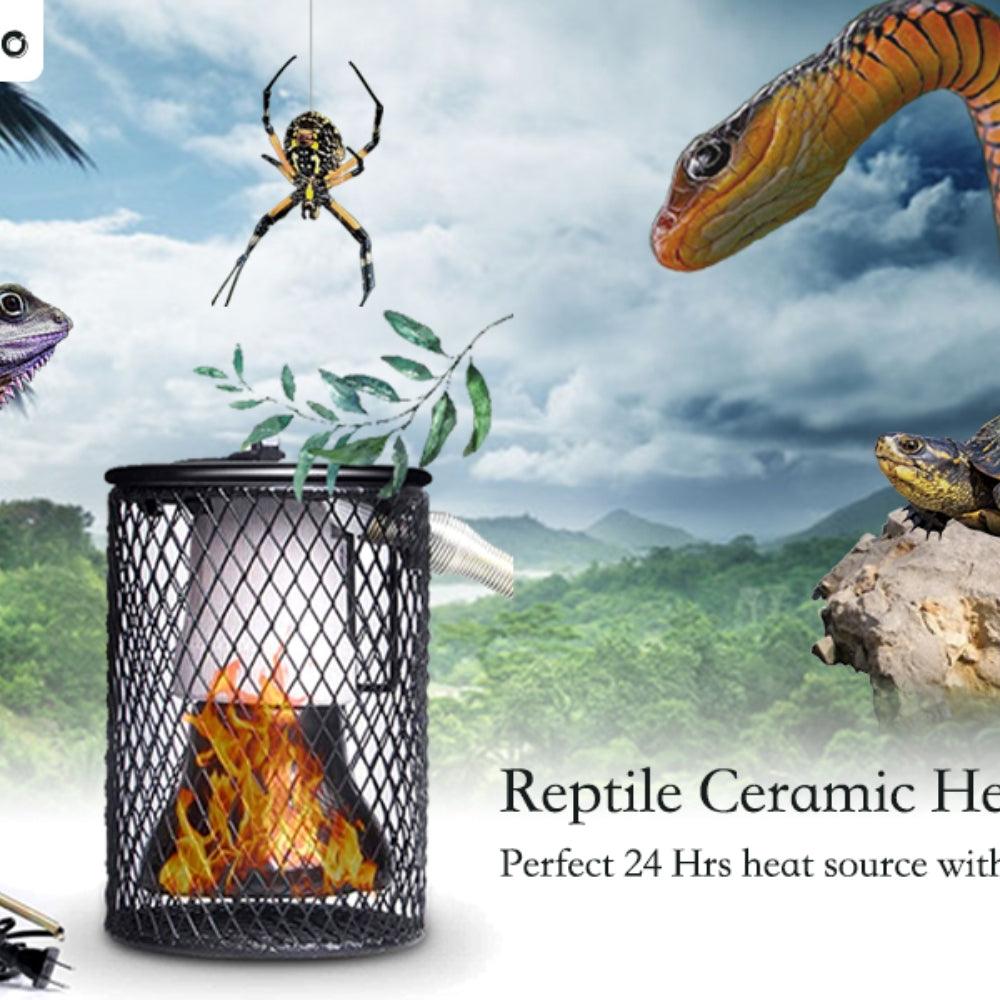 Reptile Heat Lamp 100W Chicken Brooder - Pets Gear