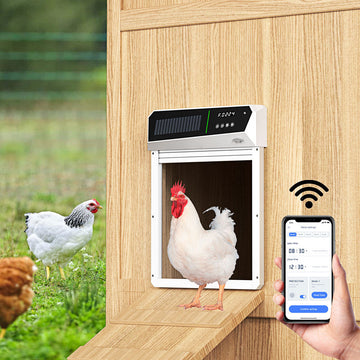 Automatic Chicken Door: Setup, Installation & Troubleshooting