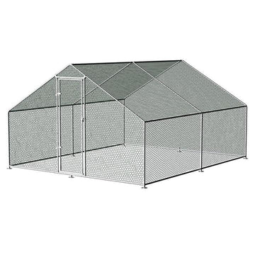 Building the Perfect Chicken Coop - Pets Gear