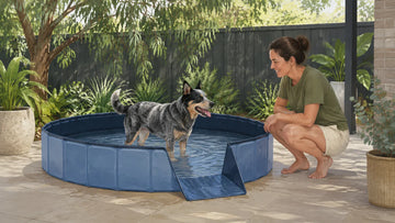 Dog standing in a shallow foldable pool with an easy exit while an owner supervises in a shaded Australian backyard