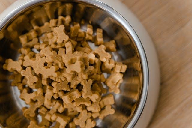 Dog Food: A Comprehensive Guide to Canine Nutrition