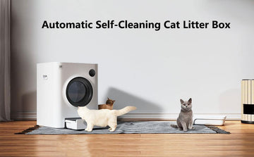 The Benefits of a Self-Cleaning Cat Litter Box - Pets Gear