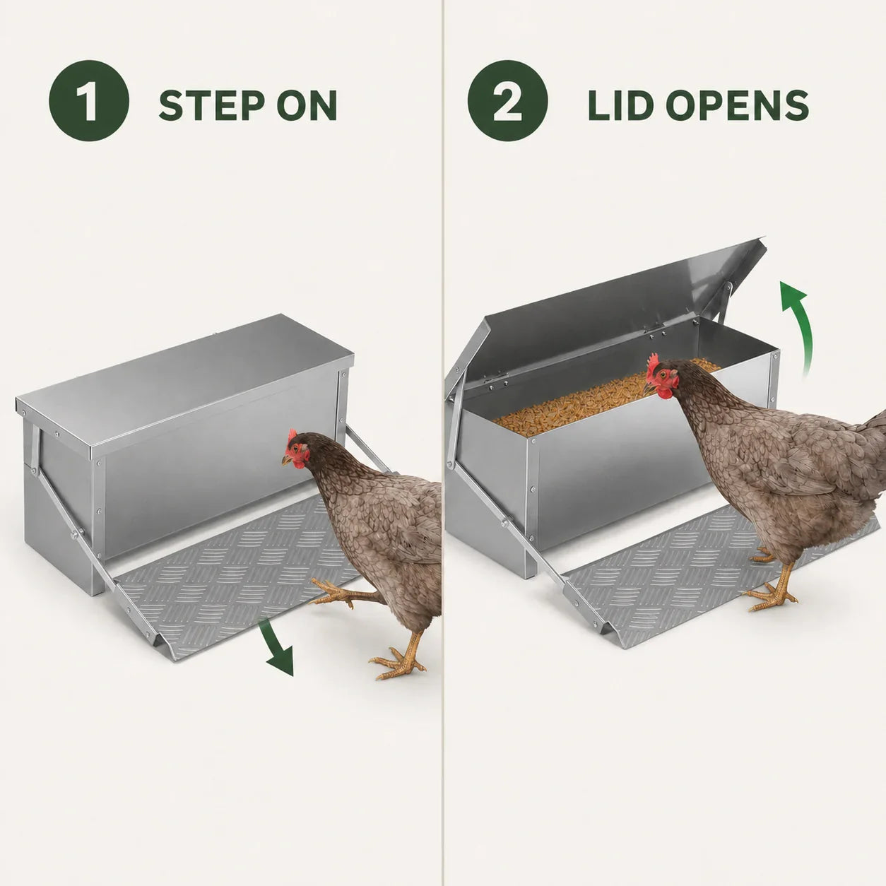 How the automatic chicken feeder opens using the patterned non-slip treadle