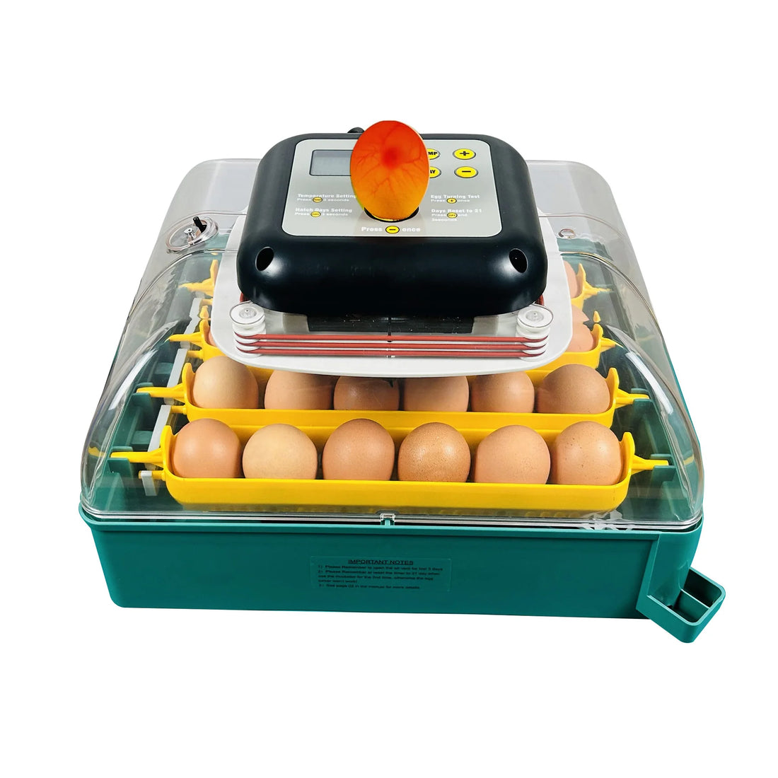 Automatic egg incubator with chicks and eggs
