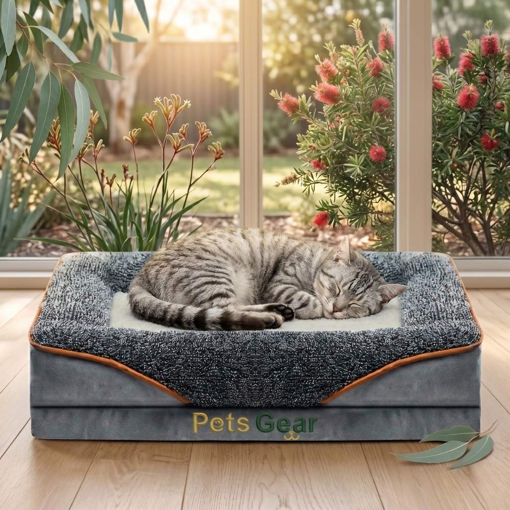 Cat sleeping on a Pets Gear cat bed in a bright room with plants