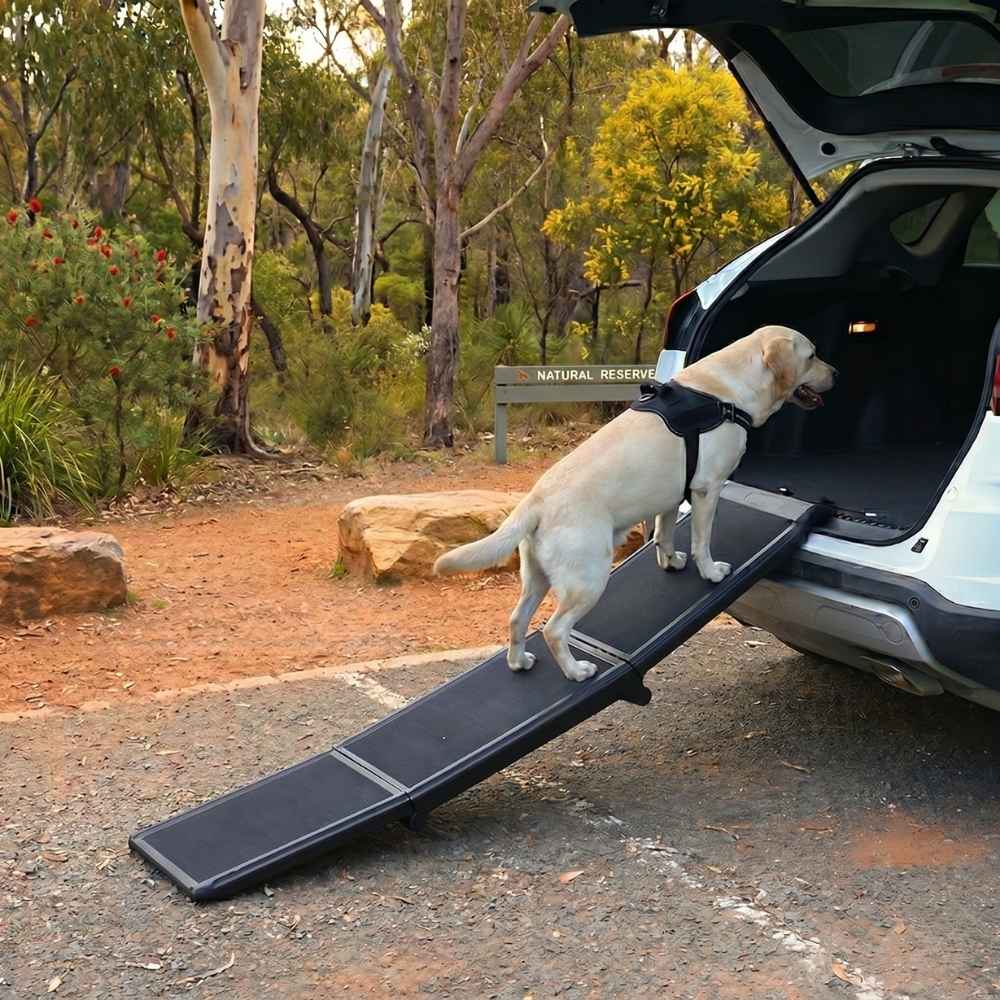 Dog Ramp for Car 