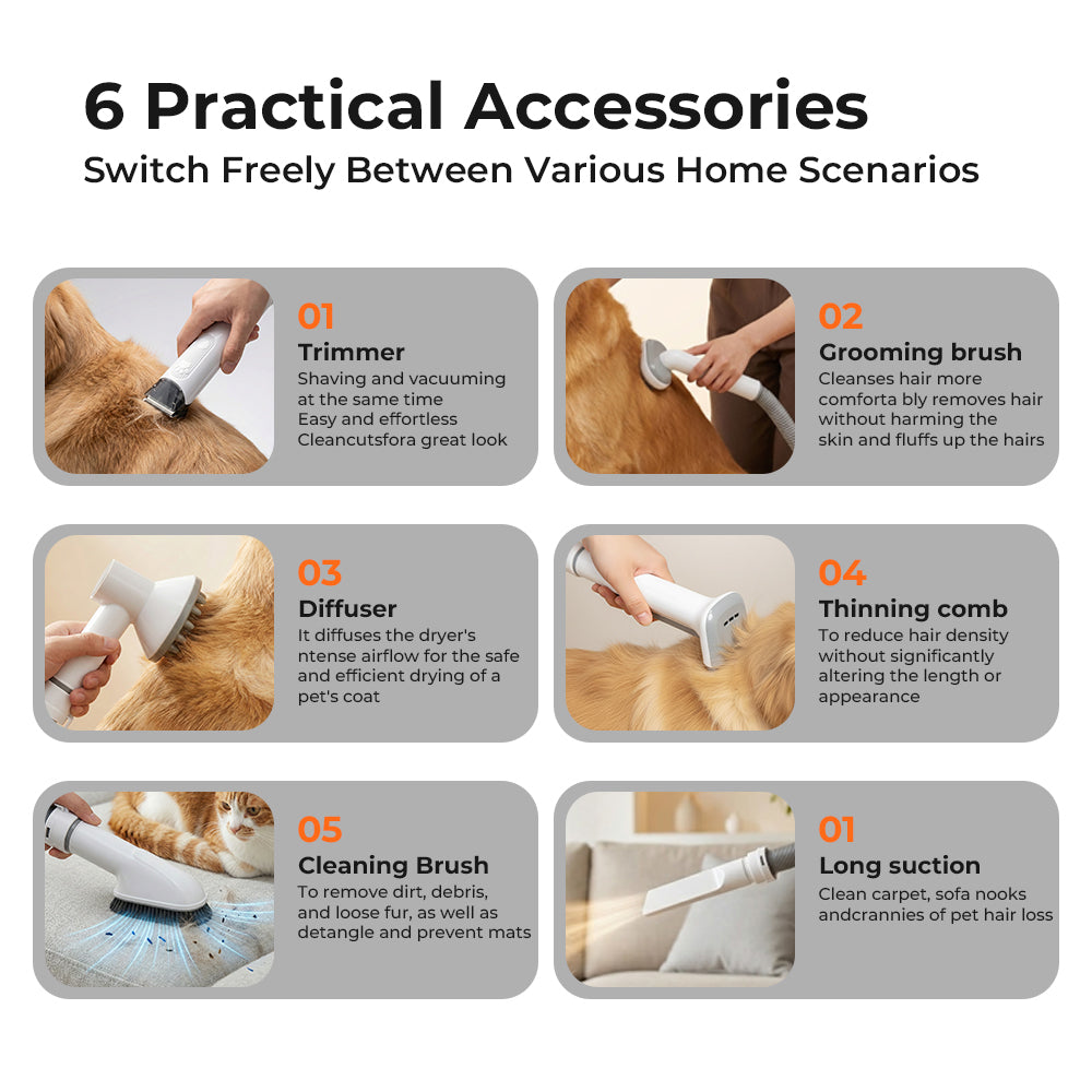 Dog grooming accessories with text describing their uses on a white background