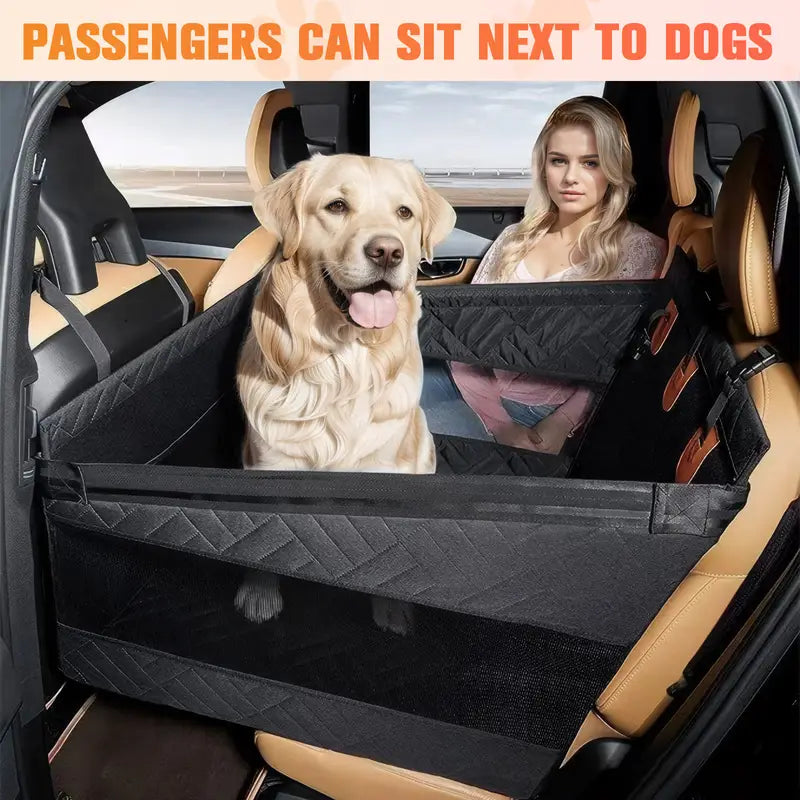 Dog sitting in a car with a pet barrier, next to a woman