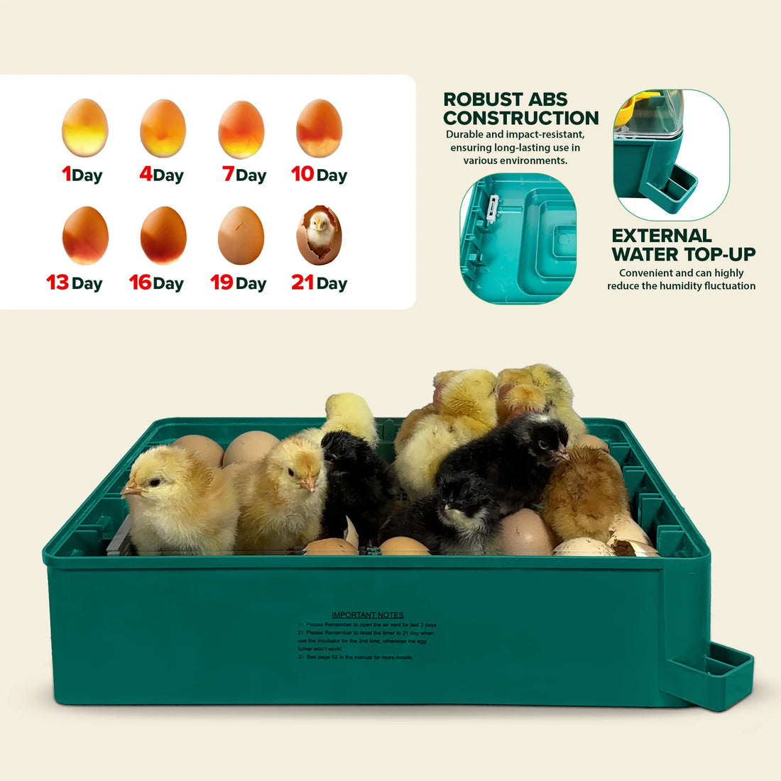 Automatic egg incubator with chicks and eggs