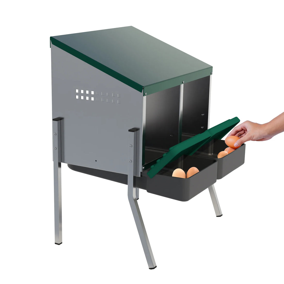 2-compartment hen nesting box with rollaway trays