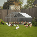 Metal Chicken Cage 4m