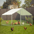 Metal Chicken Cage with galvanised steel frame and white PE roof in backyard