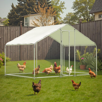 Metal Chicken Cage with galvanised steel frame and white PE roof in backyard