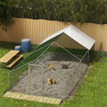 Outdoor Cat Run