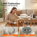 Woman brushing a dog with a hair vacuum tool in a living room, showing collected and sucked hair.