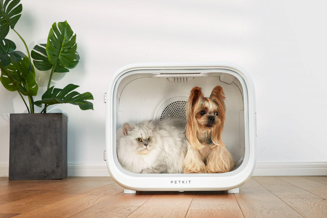 Automatic Smart Pet Dryer Box - Pets Gear