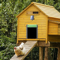 automatic chicken door solar