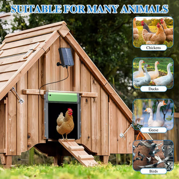 automatic chicken door suitable for many Animals