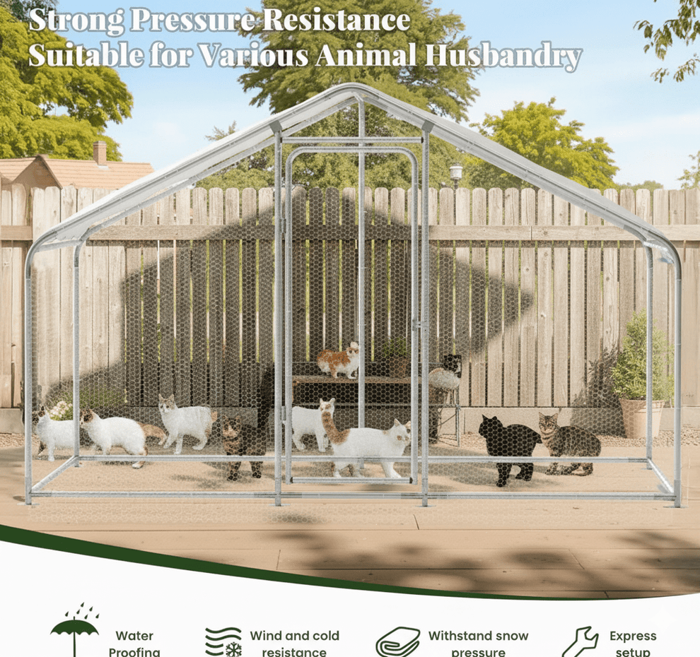 Large Cattery Large Cat Enclosures | Outdoor Options for Big Cats or Multi-Cat Homes