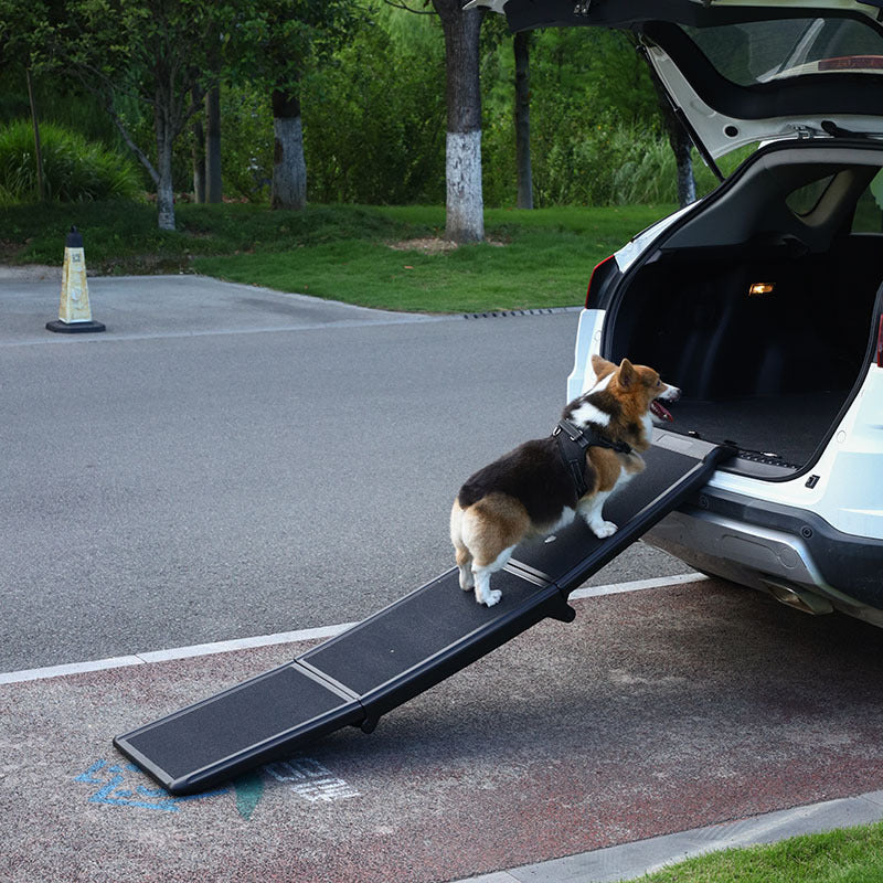 foldable dog ramp for car