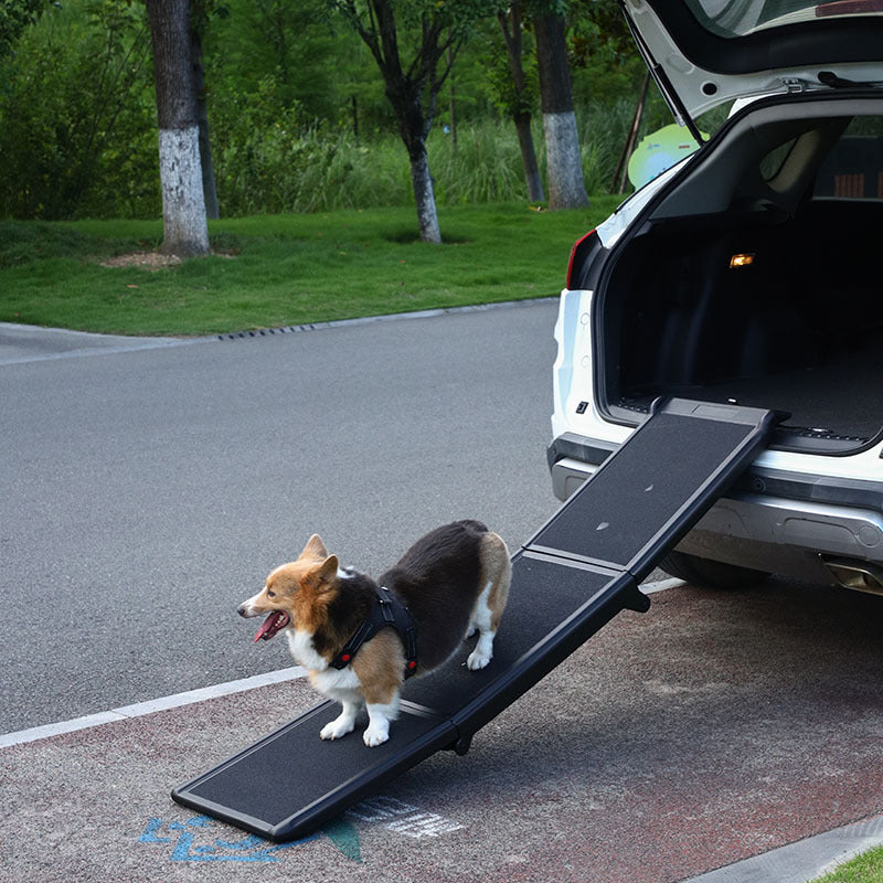 foldable dog ramp for car