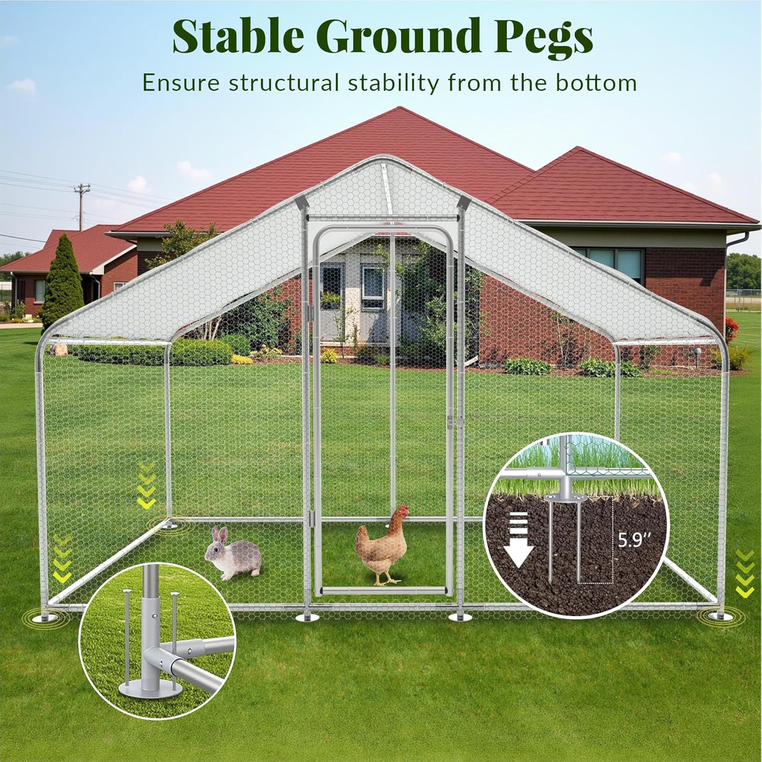 mental chicken cage with stable ground pegs