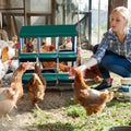 roll away nest box components: covered egg trays, steel sides, vent holes