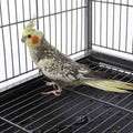 Large Bird Cage 132cm - Pets Gear