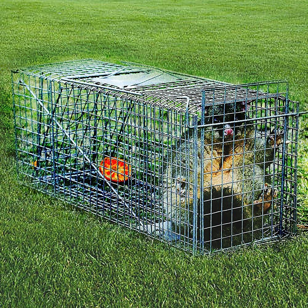 Trap Humane Possum Cage Live Animal Safe Catch Rabbit Cat Hare Fox Bird - Pets Gear